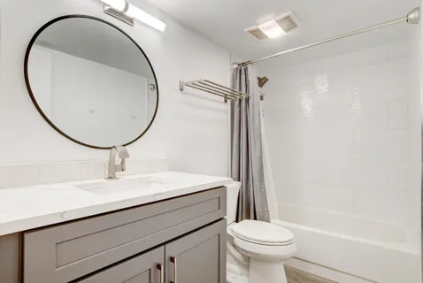 a bathroom with a sink a toilet and a mirror