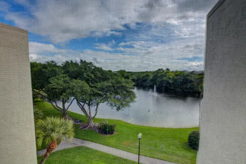 a view of a garden