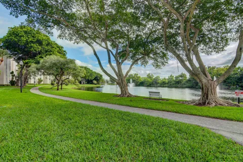 a view of a park with large trees