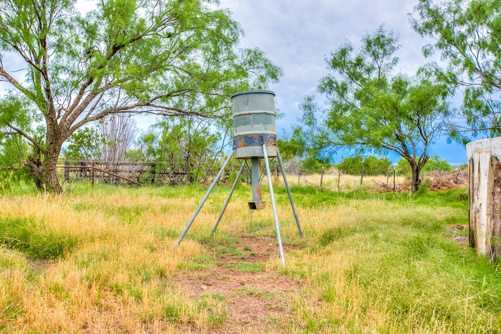 583 Cox Road Robert Lee, TX 76945 - Photo 48 of 73 Photo 48