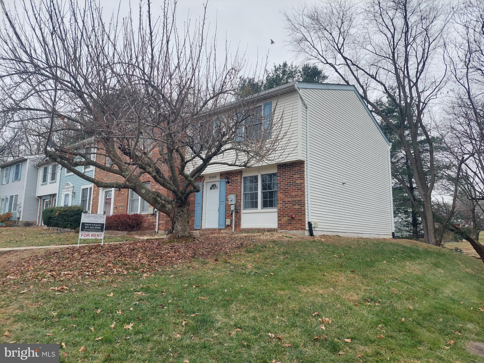 10149 Shelldrake Circle Damascus, MD 20872 - Photo 2 of 73 a house that has a tree in front of a house