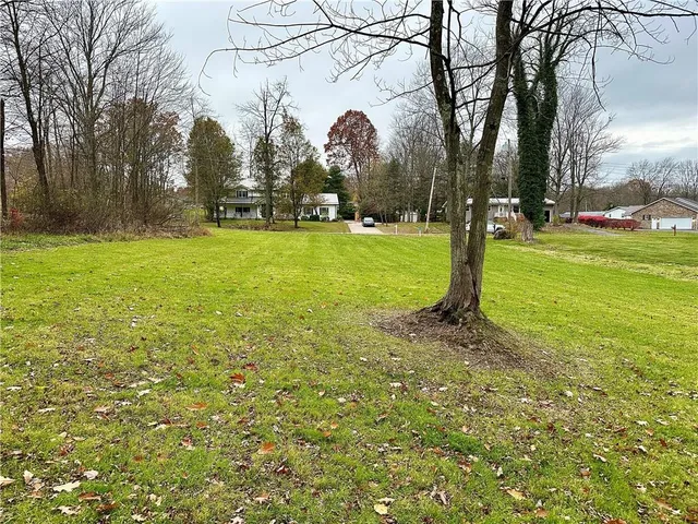 a view of yard with tree s