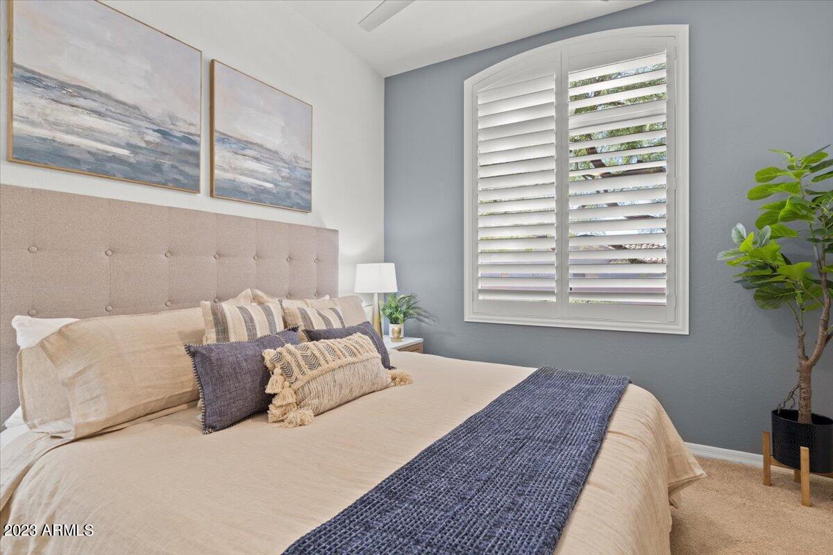 14257 North 106th Place Scottsdale, AZ 85255 - Photo 43 of 58 a bed sitting in a bedroom next to a window
