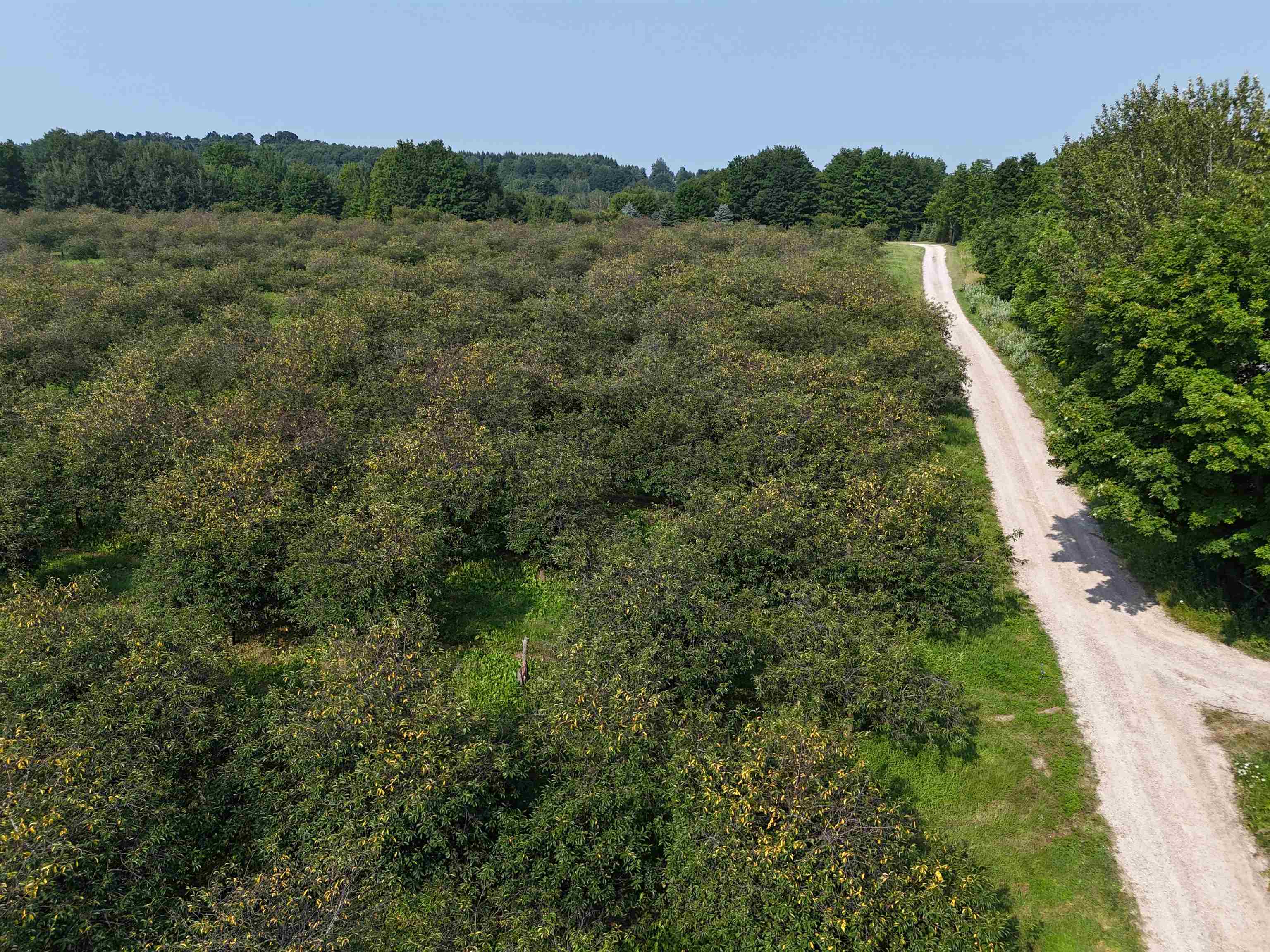 0 East Tatch Road Northport, MI 49670 - Photo 5 of 12