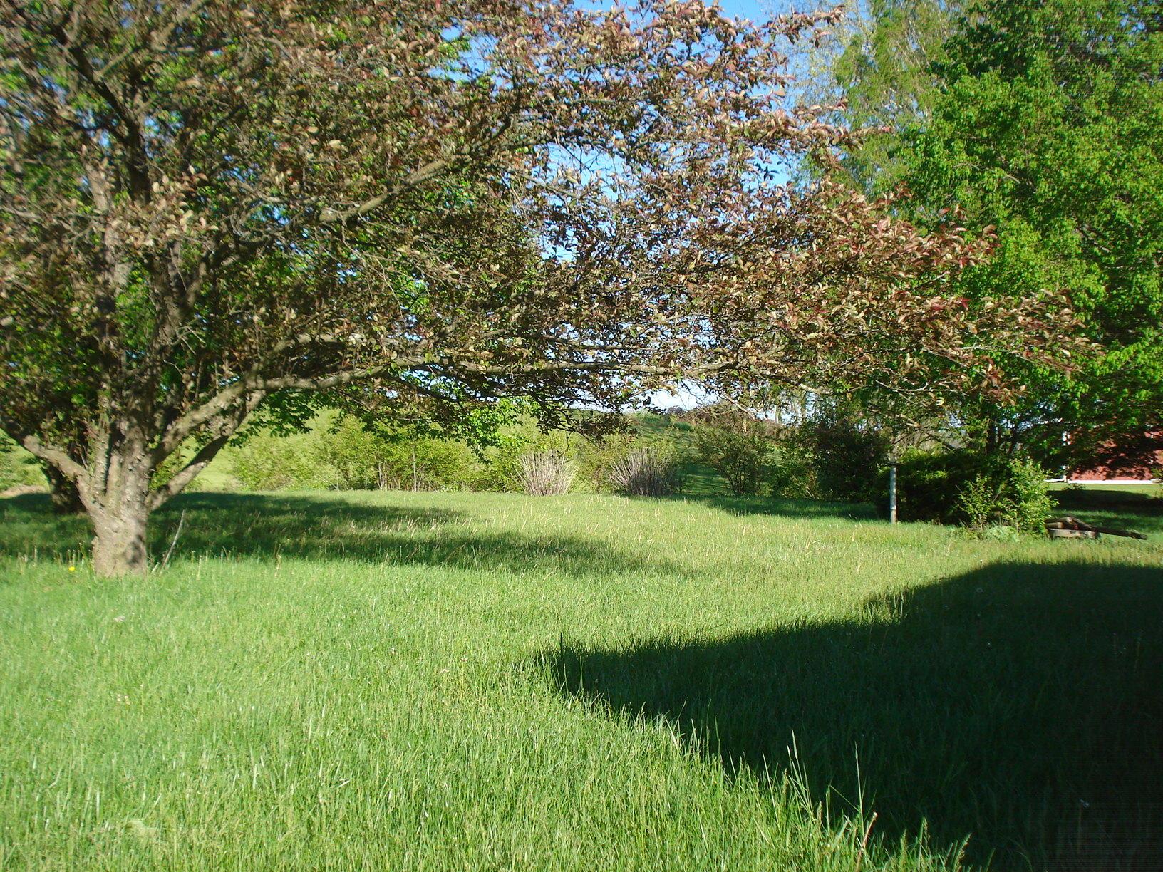 4869 Hawk Road Mechanicsburg, OH 43044 - Photo 3 of 18