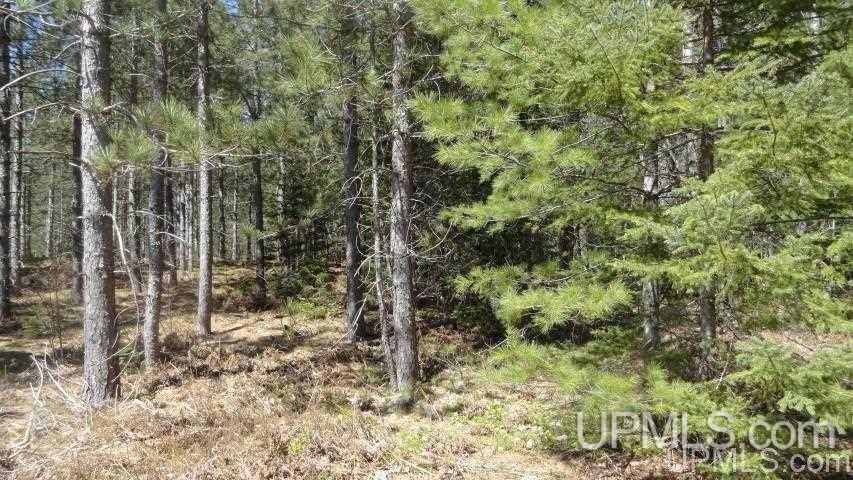 Tbd Off Doe Lake Road Munising, MI 49862 - Photo 3 of 11