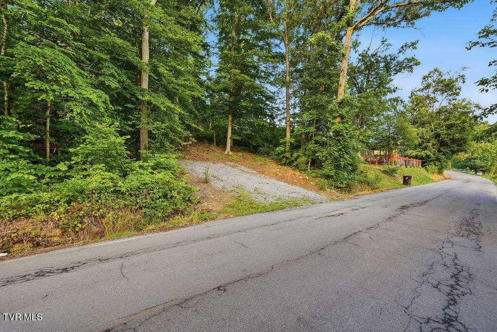 505 River Bend Road, Unit 1RR Bristol, TN 37620 - Photo 16 of 21 001_DSC09004