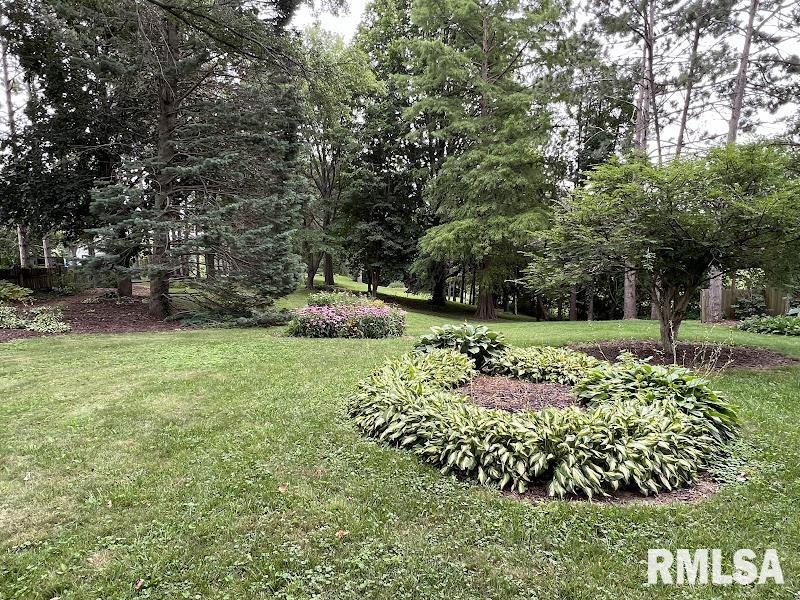 10007 Ridgewood Road Milan, IL 61264 - Photo 25 of 26 Gallery Image 25