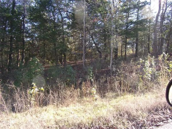 $31,500 | 0 Woodcreek Drive, Murchison, TX 75778