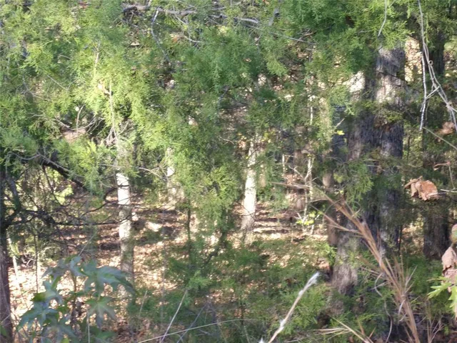 a backyard of a house