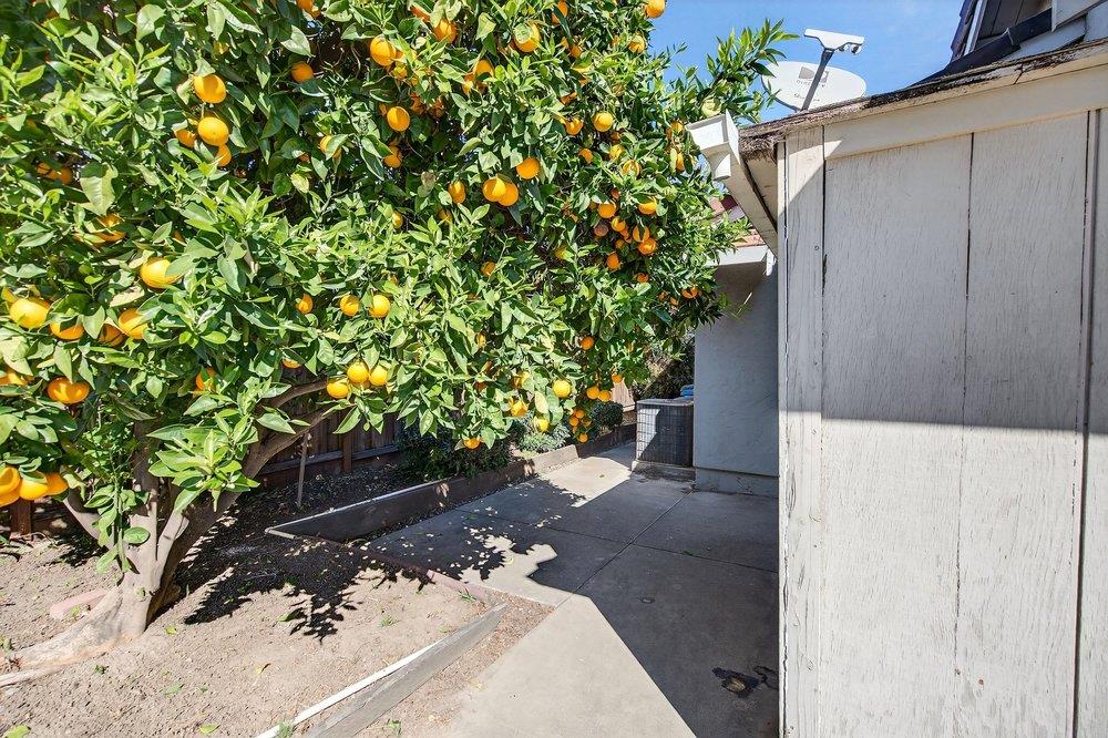 913 Ridgemark Drive Hollister, CA 95023 - Photo 37 of 74