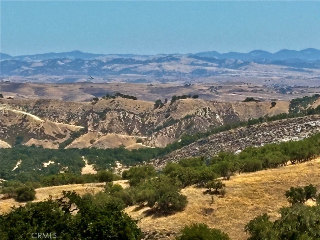9886 Steelhead Road Paso Robles, CA 93446 - Photo 1 of 1 View standing on the lot