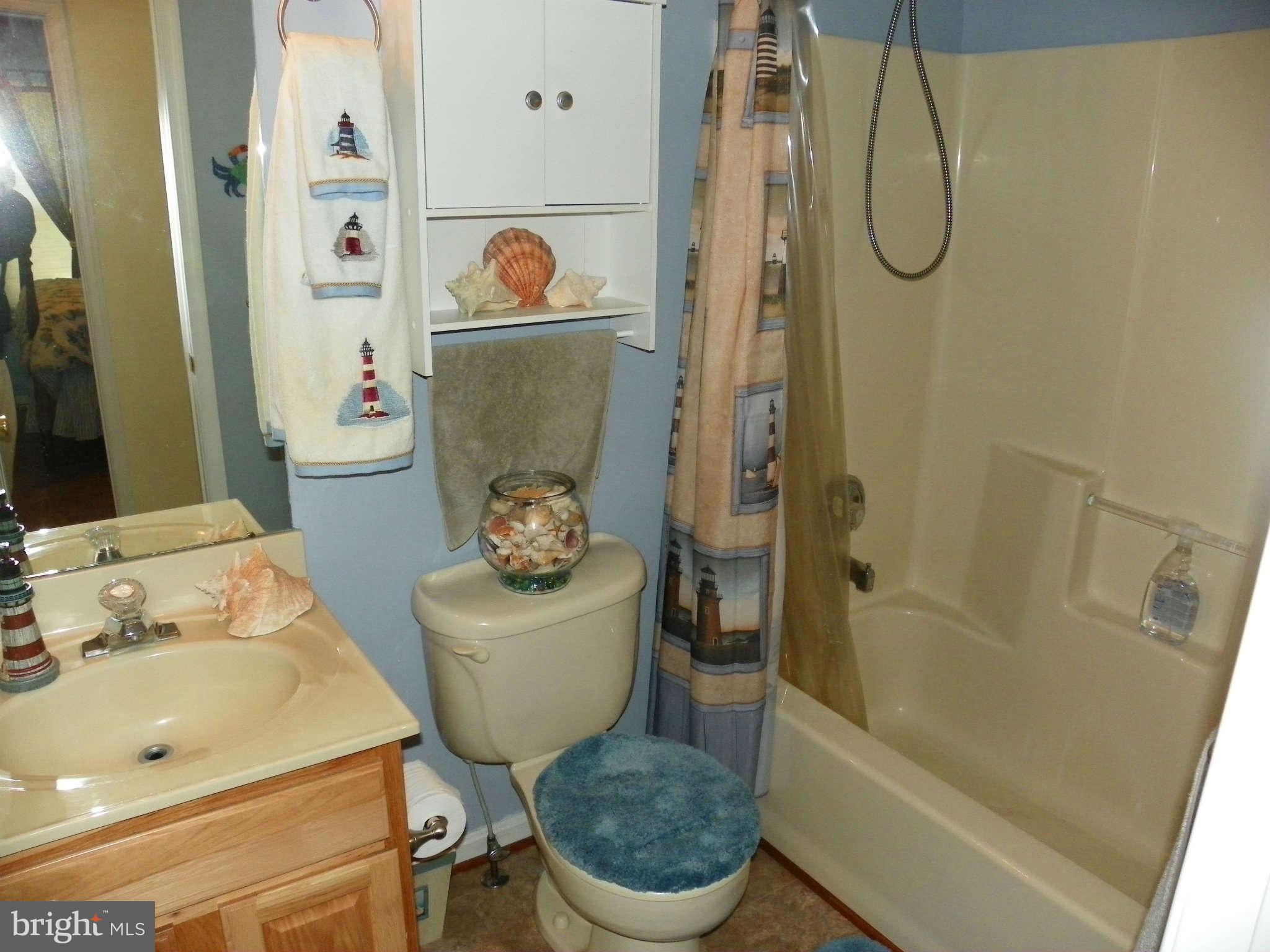 1130 Calvert Beach Road St. Leonard, MD 20685 - Photo 16 of 21 a bathroom with a sink mirror toilet and bathtub