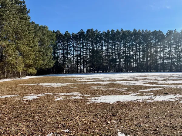 $299,000 | 720 North Birch Street, Royalton, MN 56373