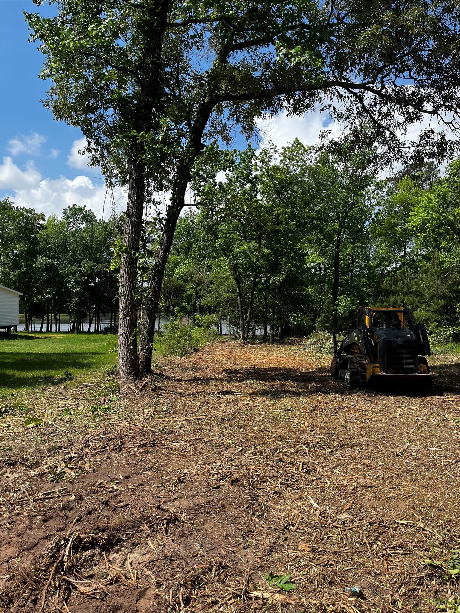 3816 Sam Houston Road Houston, TX 77002 - Photo 19 of 19 a view of a yard with a tree