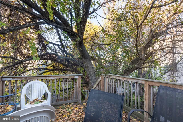 a view of roof deck with wooden fence and large trees