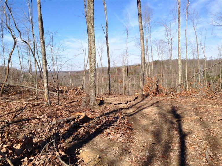 1111 Snake Pond Rdg Road Somerset, KY 42501 - Photo 2 of 11 Additional Photo