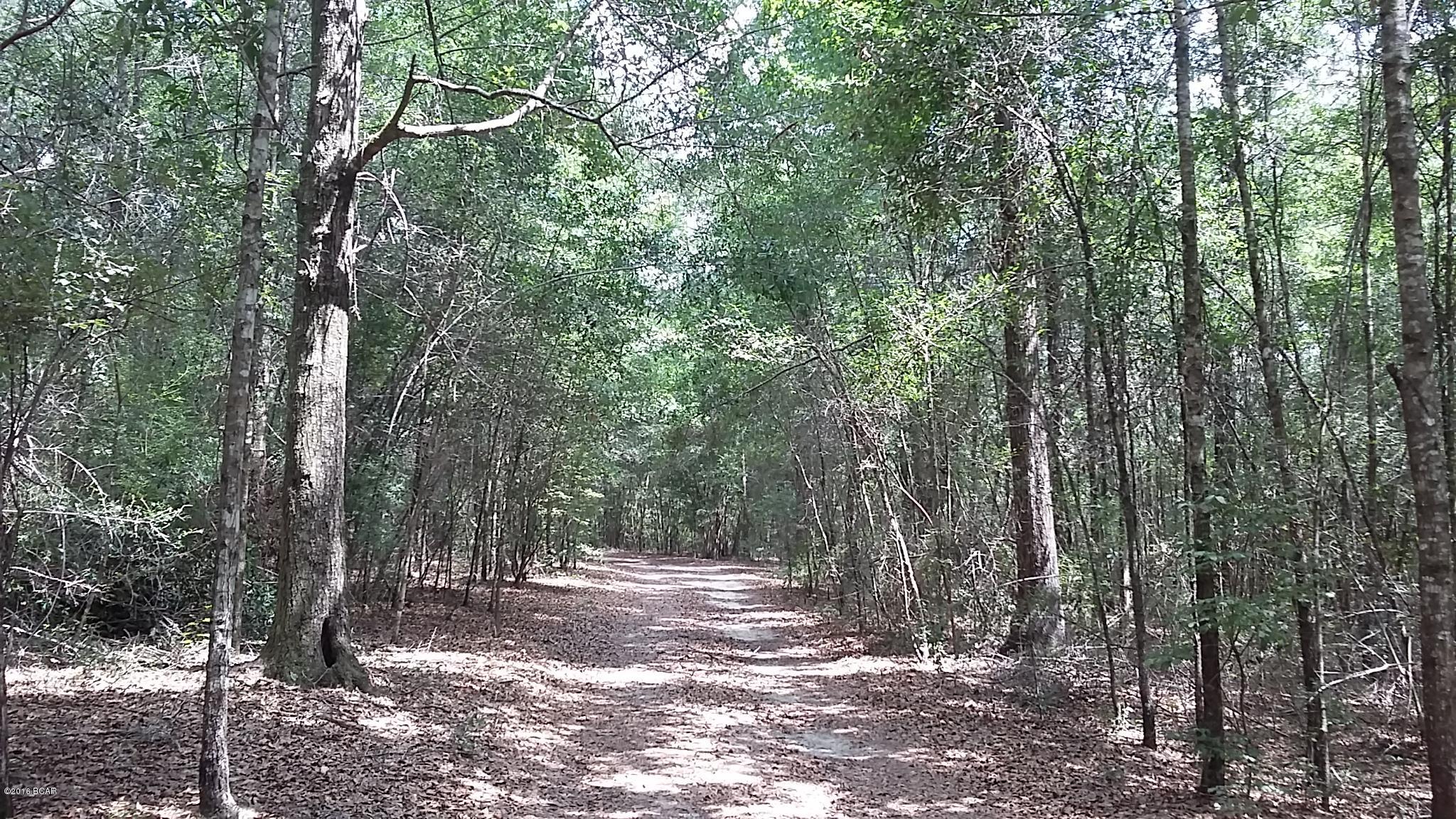 1519 Brunson Road Caryville, FL 32427 - Photo 3 of 19 Gallery Image 3