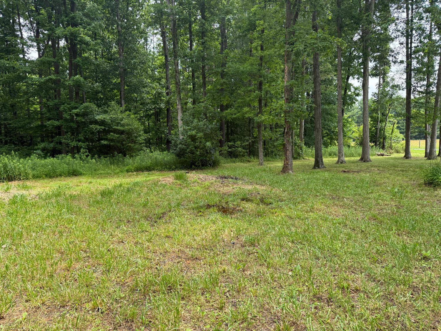 6252 North Old Michigan Road Osgood, IN 47037 - Photo 6 of 13