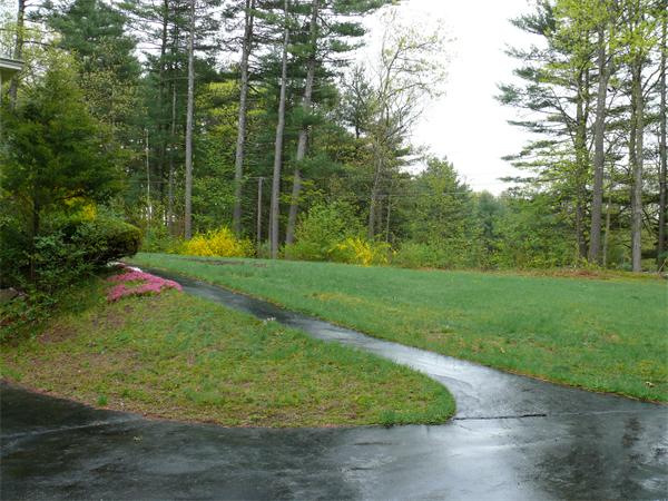 48 Horse Pond Road Shirley, MA 01464 - Photo 5 of 13 a view of a park with large trees
