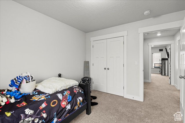 464 South Trejo Rdg Road Grantsville, UT 84029 - Photo 18 of 33 Carpeted bedroom featuring baseboards, a closet, and a textured ceiling