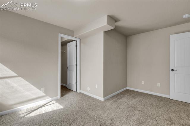11303 Rill Point Colorado Springs, CO 80921 - Photo 31 of 40