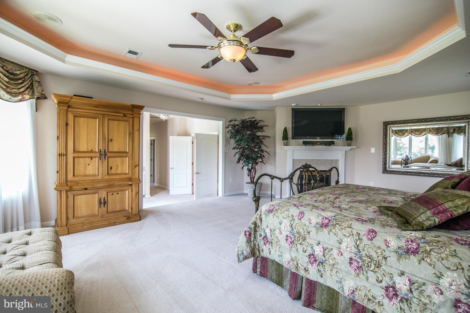 13870 Waverly Point Road Newburg, MD 20664 - Photo 13 of 30 Tray ceiling gas fire place