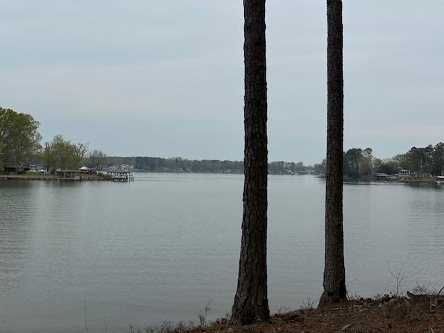 Ninety Six Rabbit Run Road Ninety Six, SC 29666 - Photo 2 of 5 Gallery Image 2