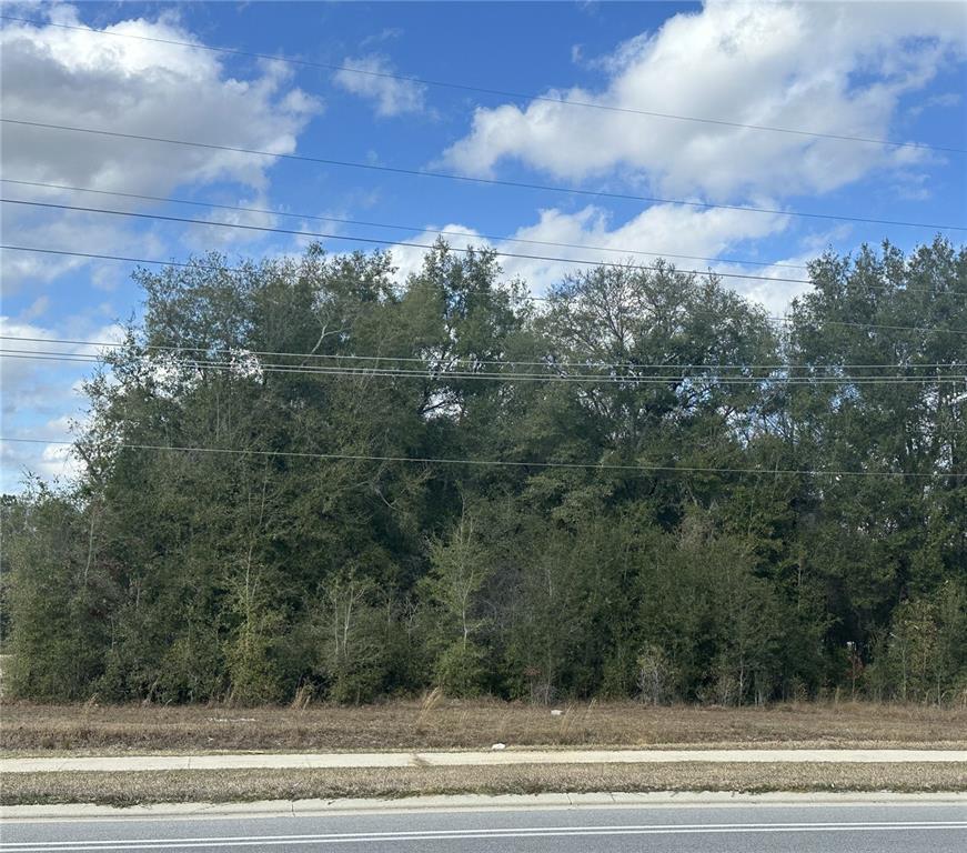 1276 Highway 20 Interlachen, FL 32148 - Photo 1 of 1 a view of a yard