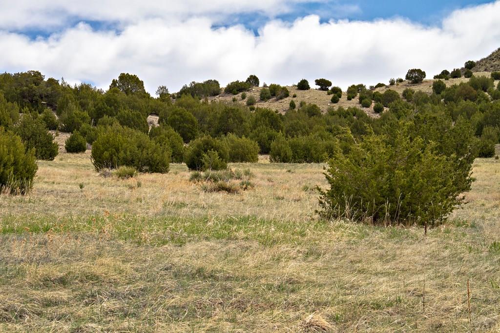 Tbd Garrett Road Beulah, CO 81023 - Photo 11 of 42 Gallery Image 11