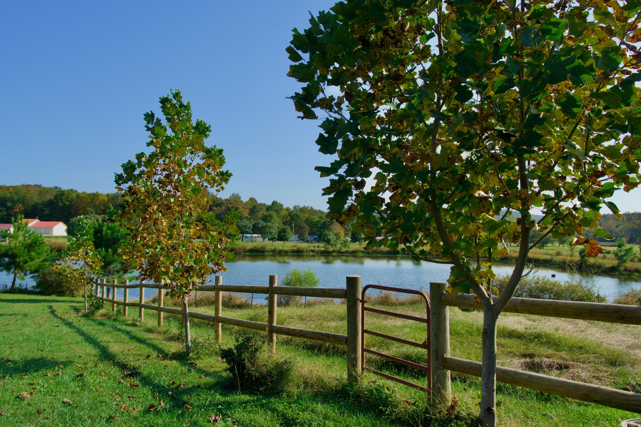 8298 Spring Creek Road Cookeville, TN 38506 - Photo 44 of 50 Gallery Image 44