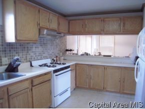 413 North 13th Street Springfield, IL 62702 - Photo 4 of 9