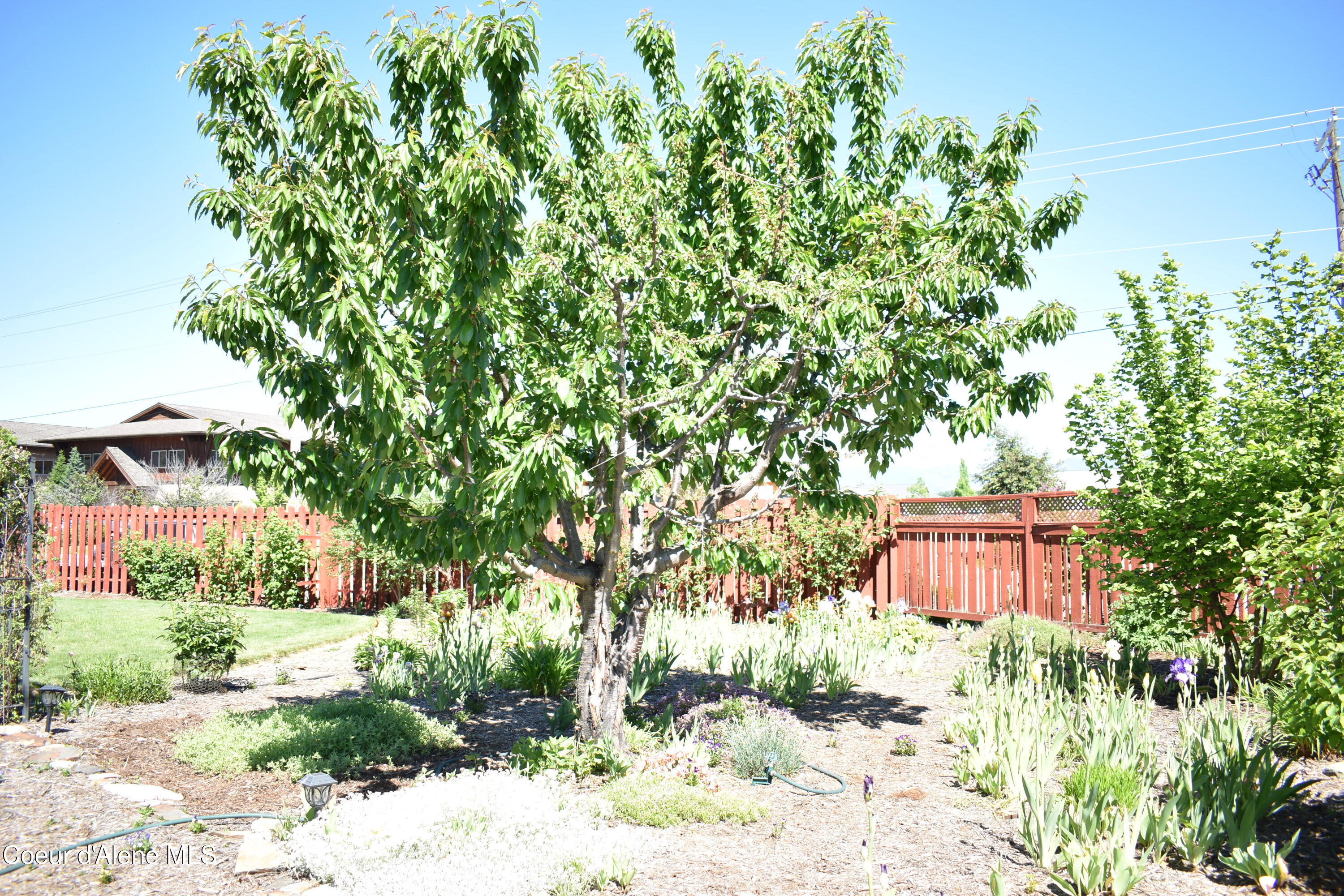 1406 Walnut Street Sandpoint, ID 83864 - Photo 58 of 77 DSC_0057