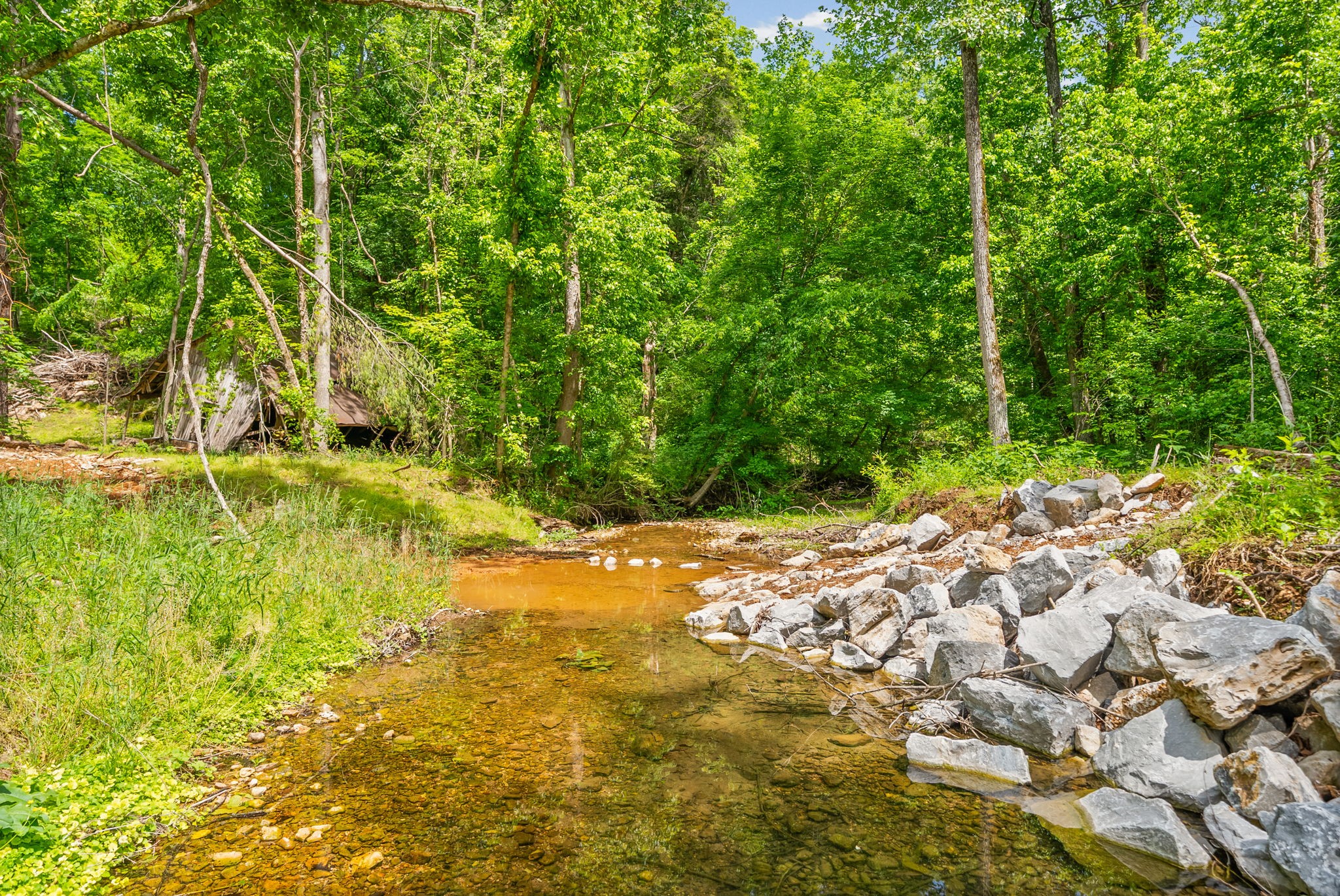 1 Budds Creek Road Palmyra, TN 37142 - Photo 10 of 76
