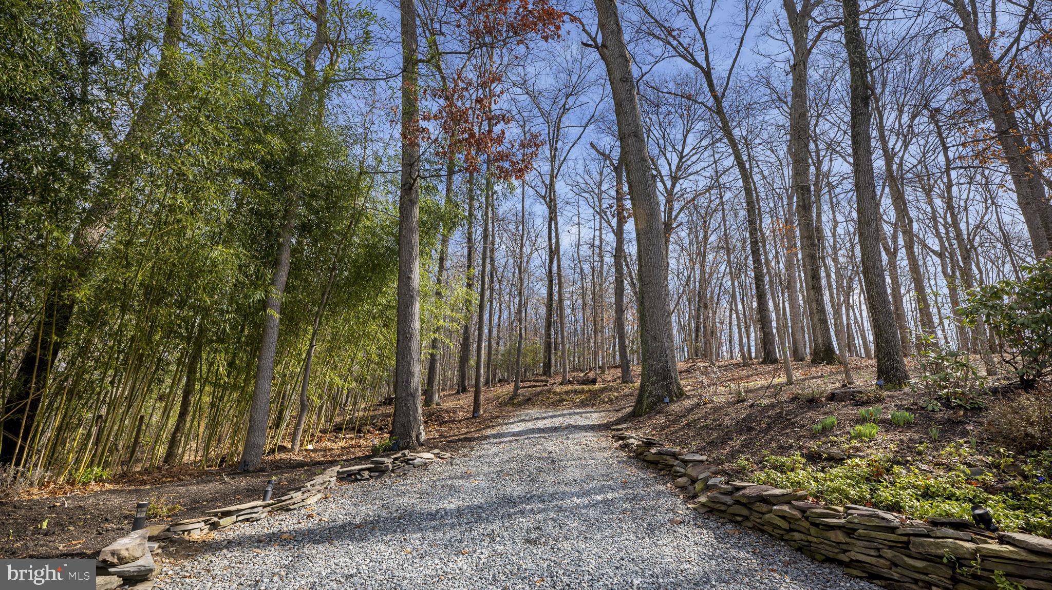 11450 Game Preserve Road Gaithersburg, MD 20878 - Photo 44 of 55