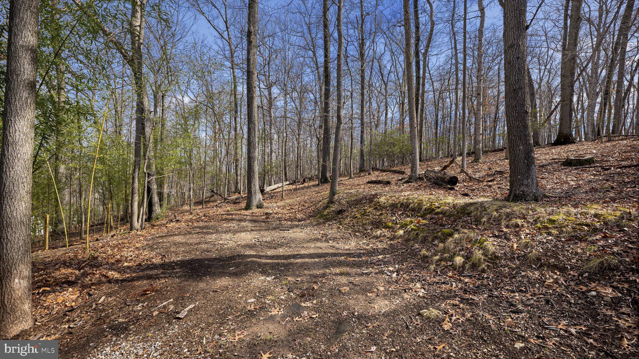 11450 Game Preserve Road Gaithersburg, MD 20878 - Photo 45 of 55
