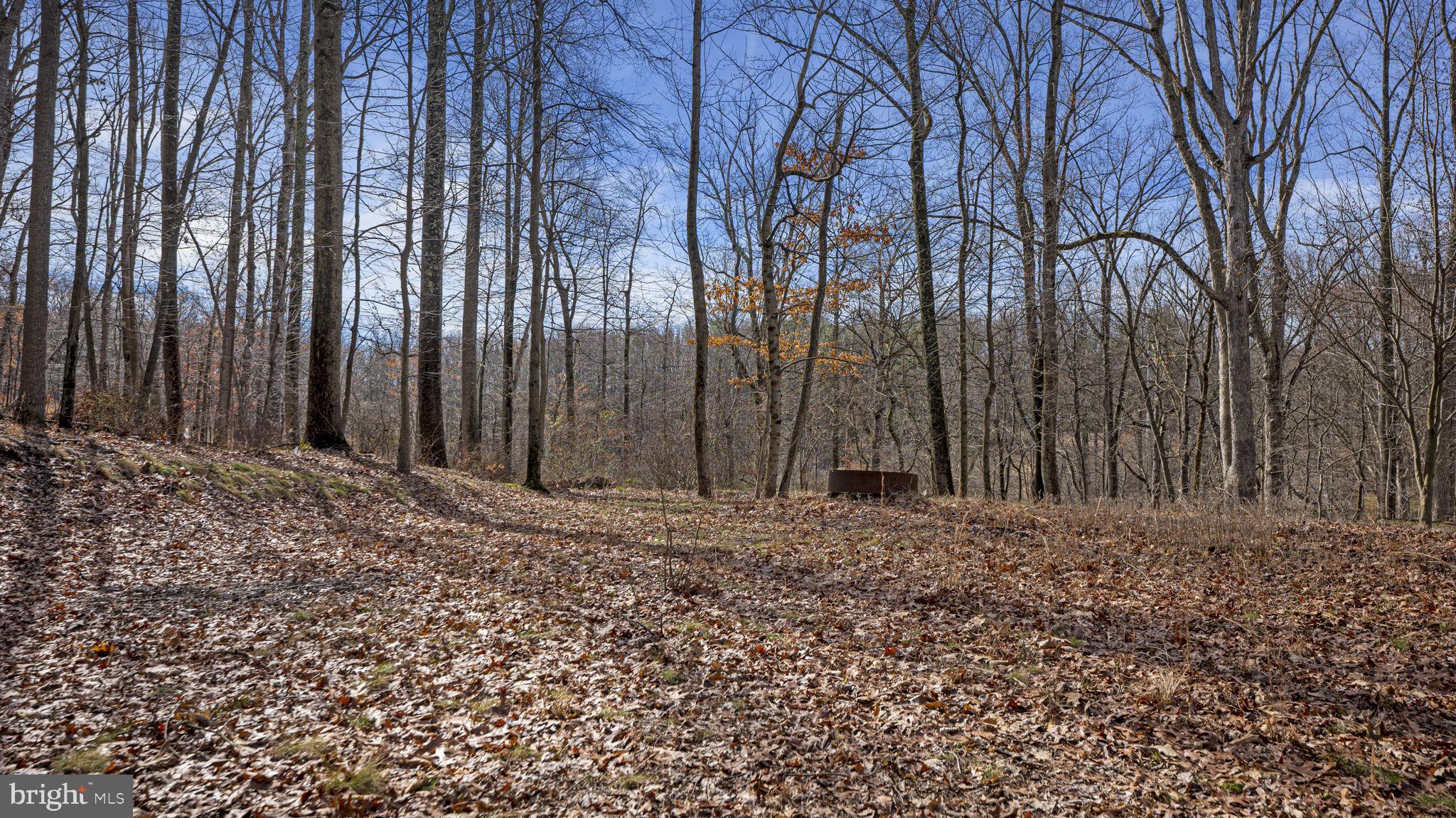 11450 Game Preserve Road Gaithersburg, MD 20878 - Photo 46 of 55