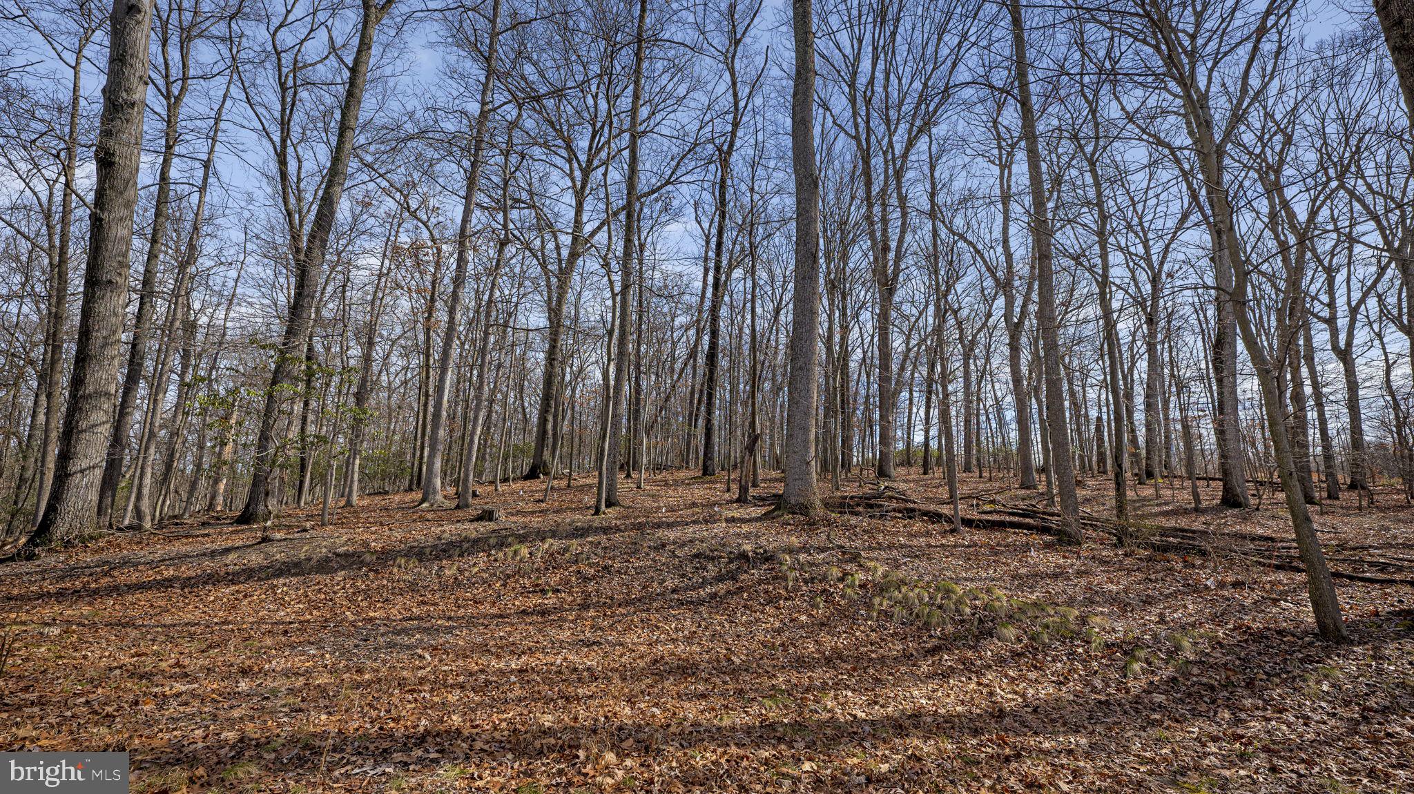 11450 Game Preserve Road Gaithersburg, MD 20878 - Photo 47 of 55