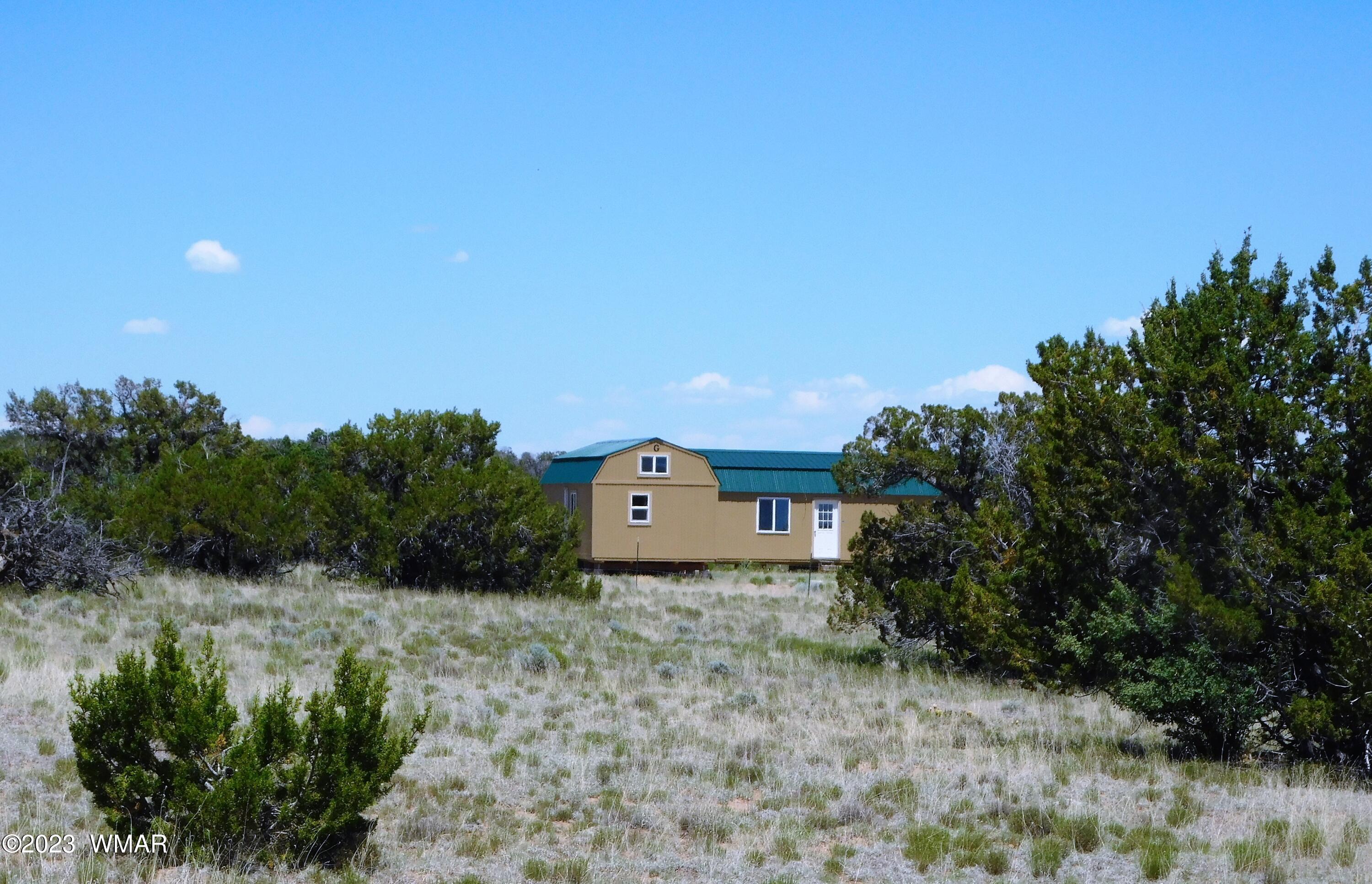 60 County Road Concho, AZ 85924 - Photo 2 of 38