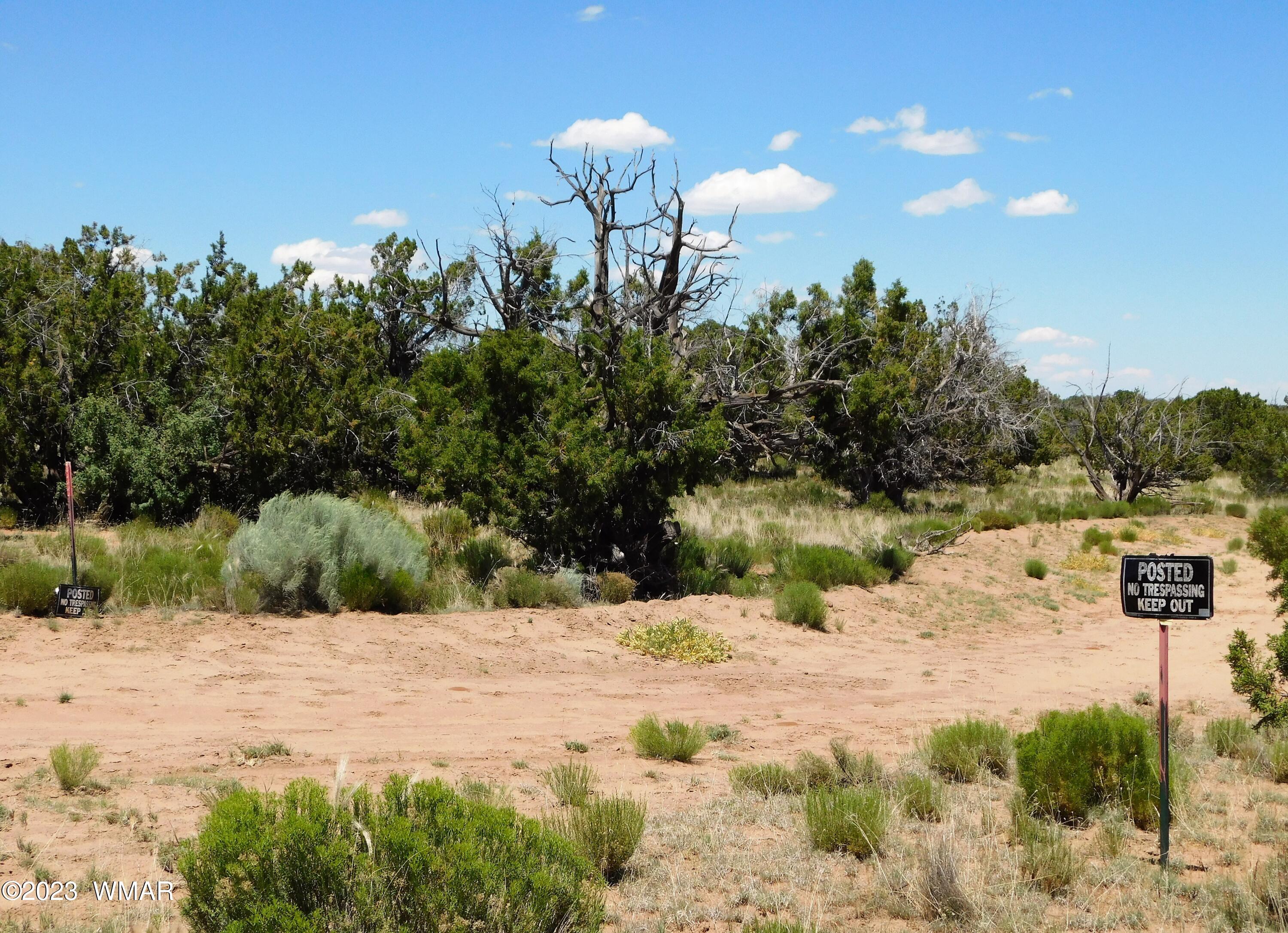 60 County Road Concho, AZ 85924 - Photo 29 of 38