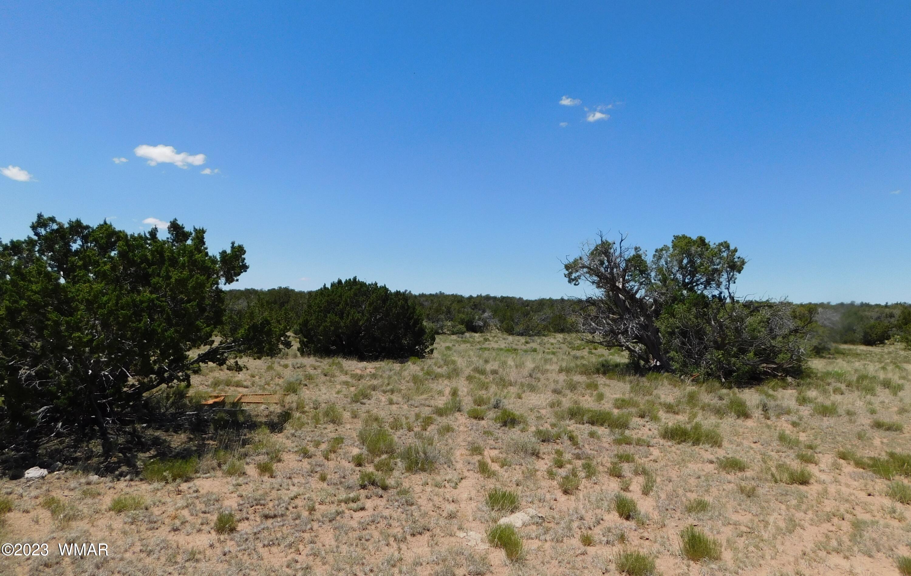 60 County Road Concho, AZ 85924 - Photo 30 of 38