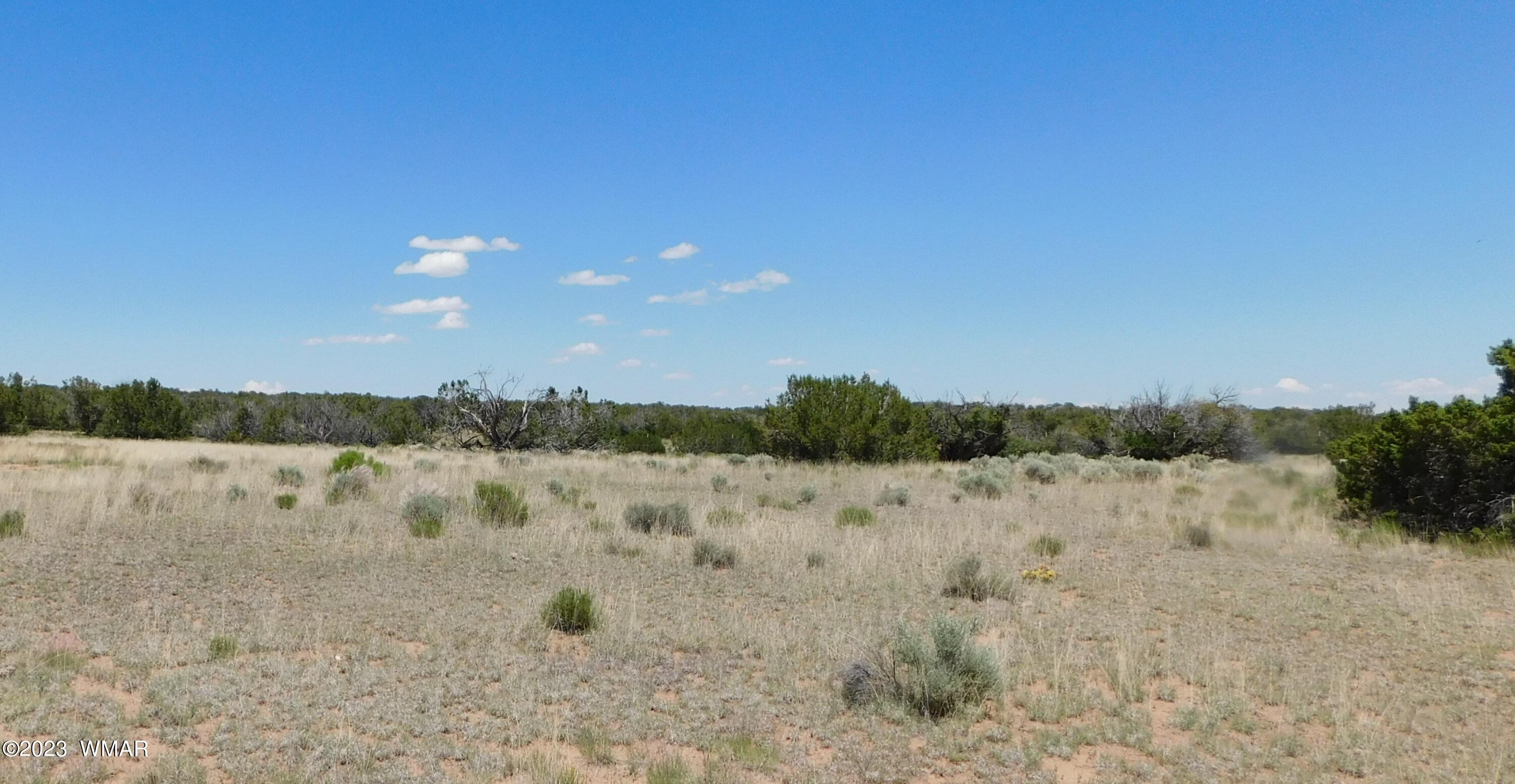 60 County Road Concho, AZ 85924 - Photo 32 of 38