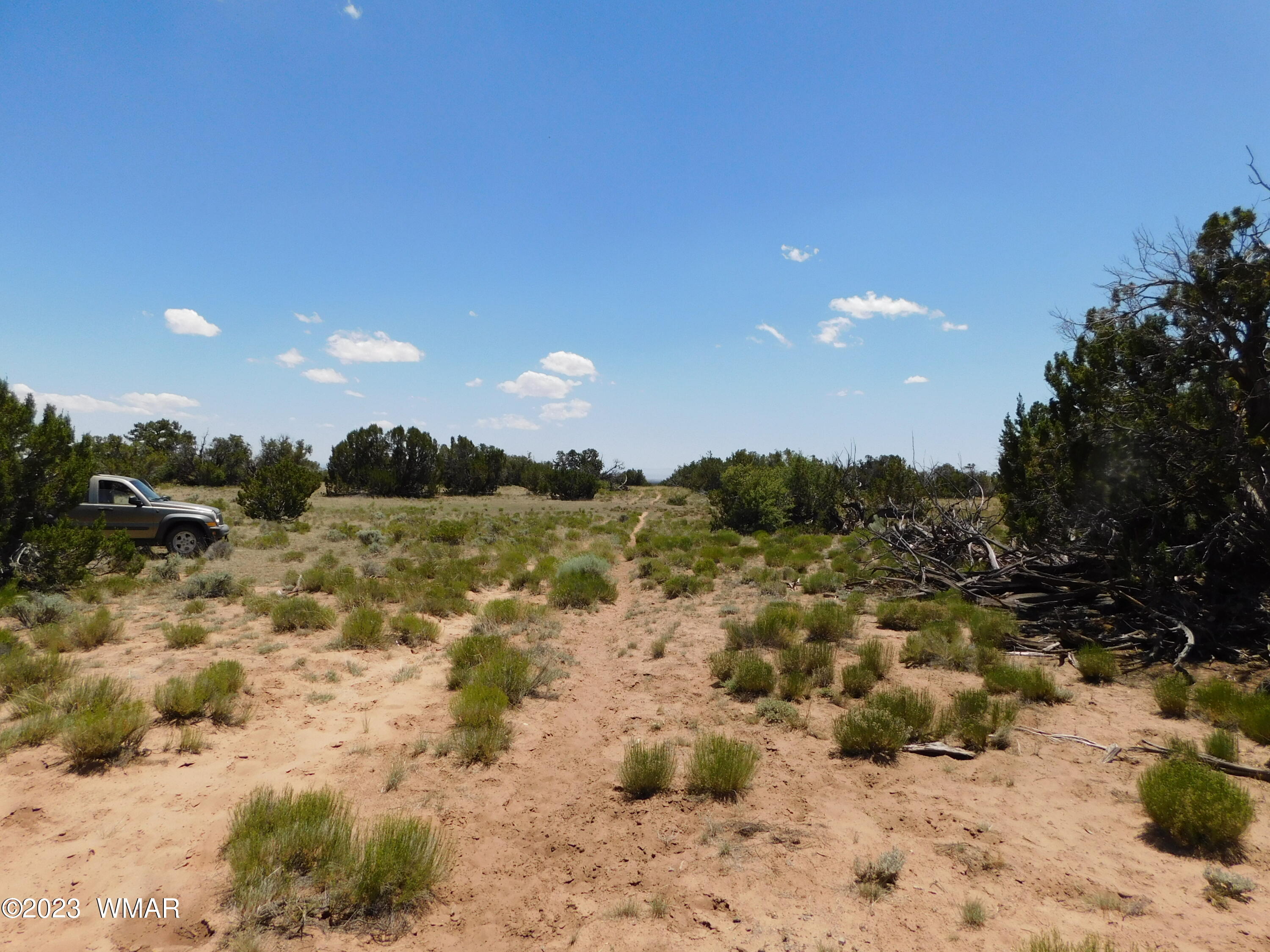 60 County Road Concho, AZ 85924 - Photo 33 of 38