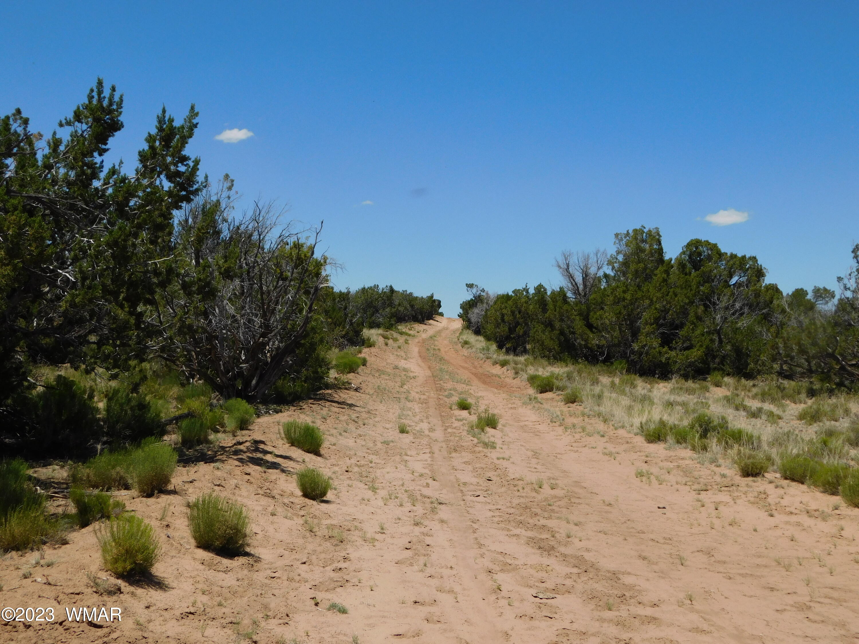 60 County Road Concho, AZ 85924 - Photo 35 of 38