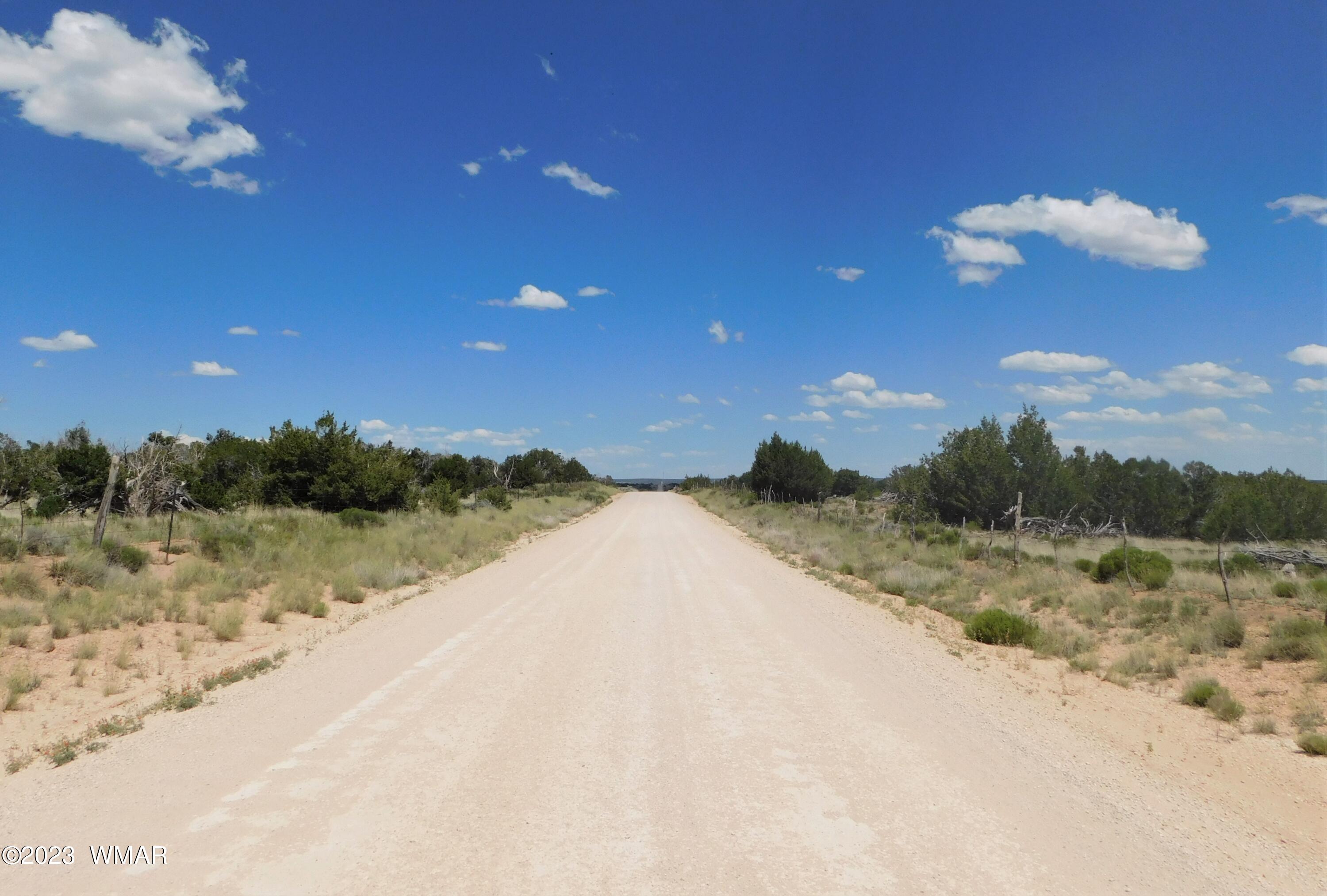 60 County Road Concho, AZ 85924 - Photo 36 of 38