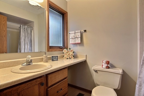 18311 Holland Road Lansing, IL 60438 - Photo 17 of 33