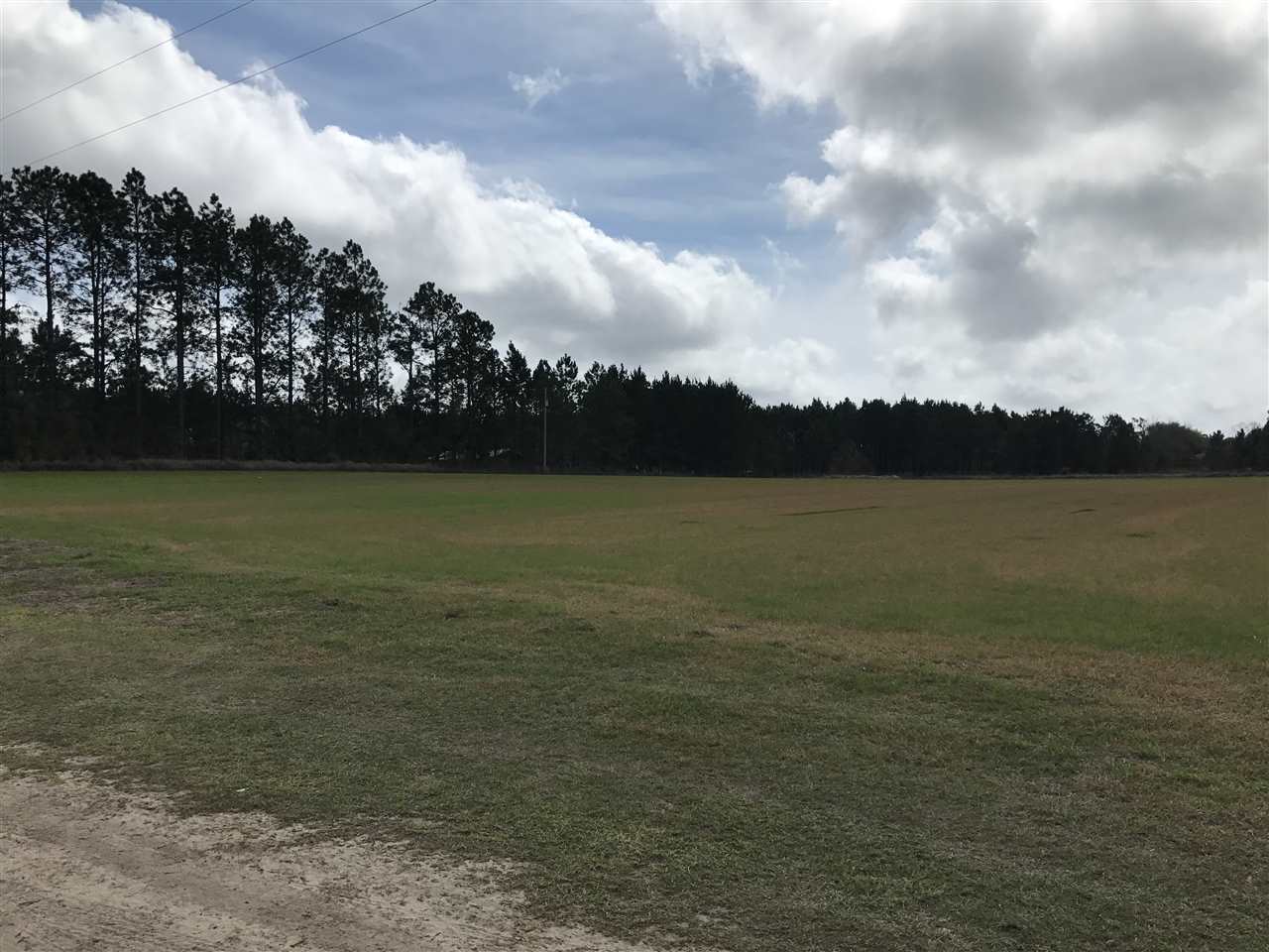 0 Singleton Lane Elberta, AL 36530 - Photo 2 of 5 Tree line East boundary
