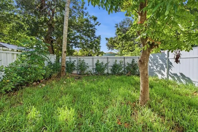 a view of a yard with large trees