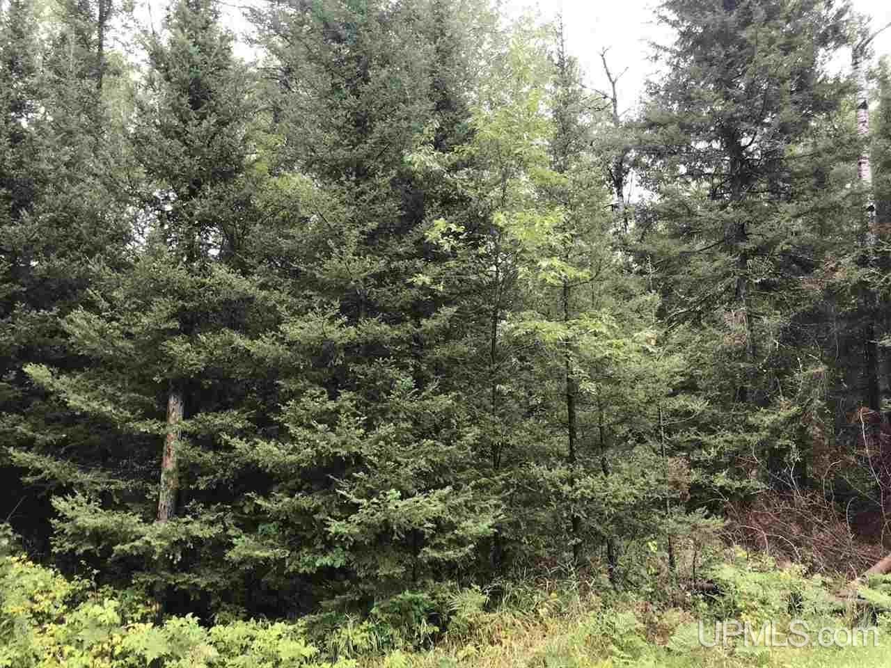 14168 County Line G Road Rock, MI 49880 - Photo 25 of 41 Gallery Image 25