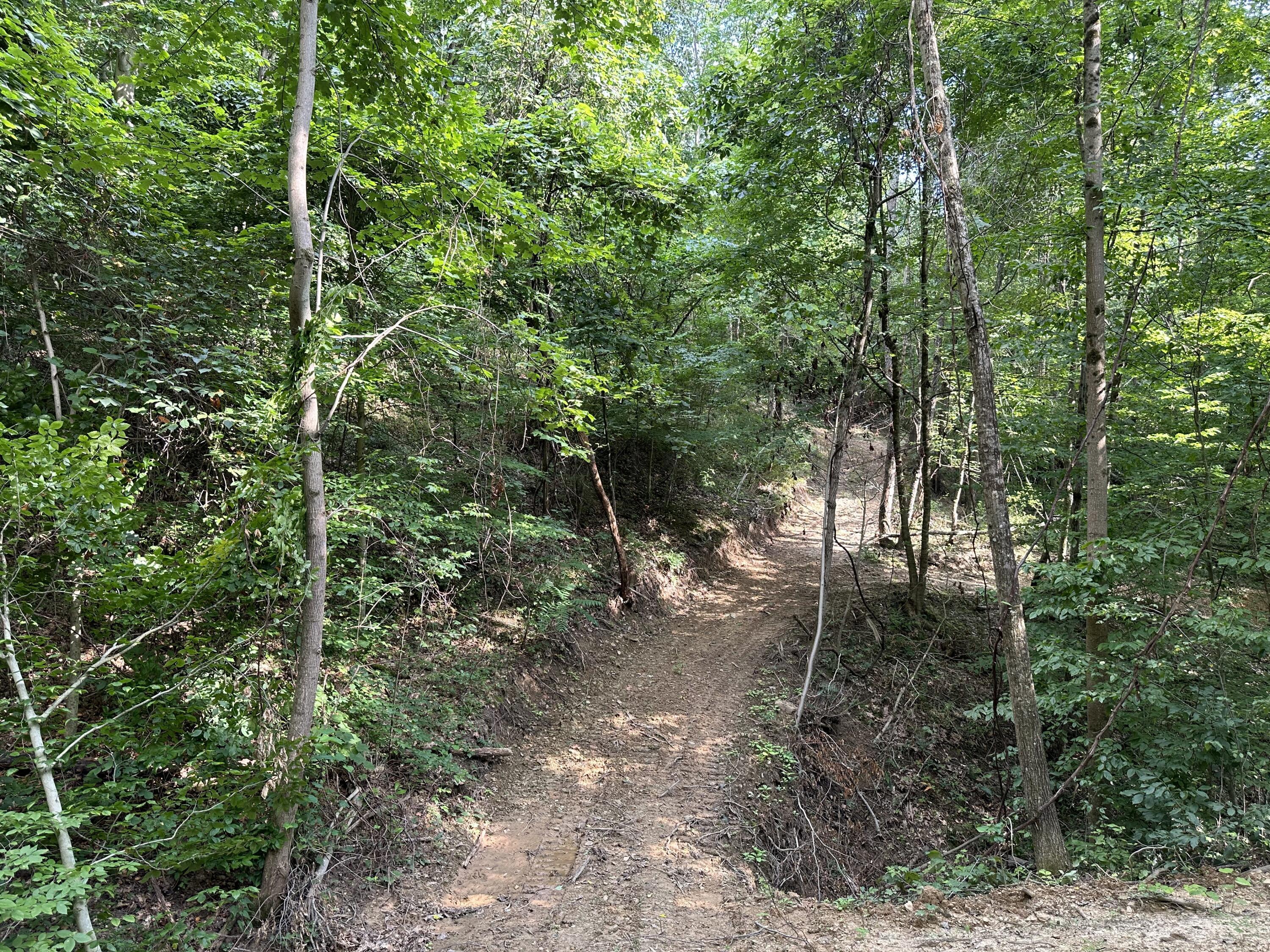 6690 Old State Road, Unit PERRY RIDGE TRACT 6) Crooksville, OH 43731 - Photo 33 of 36 20230804_211849545_iOS
